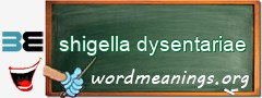 WordMeaning blackboard for shigella dysentariae